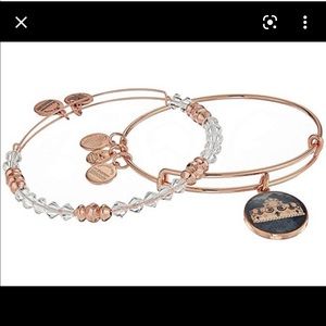alex and ani rosegold queen’s crown bangle set